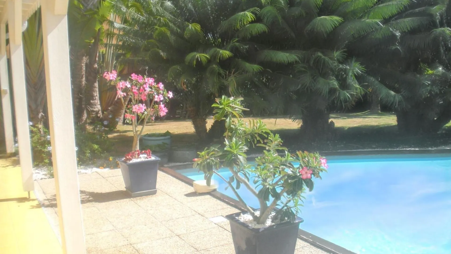 Villa Charmante A Saint Francois Avec Piscine Privee Ouverte En Continu 0*, 圣弗朗索瓦